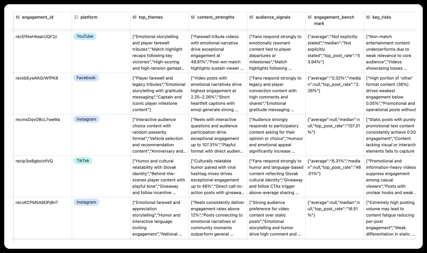 Structured audit data across Instagram, Facebook, YouTube, and TikTok: themes, content strengths, audience signals, and risks